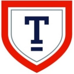 Company logo Turnbridge