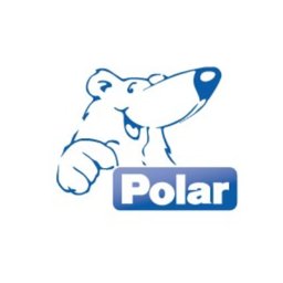 Company logo POLAR MOBILITY RESEARCH LTD