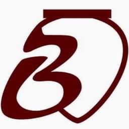 Firmenlogo badagi GmbH