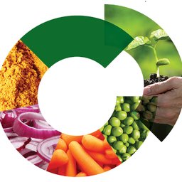 Company logo vanRijsingengreen
