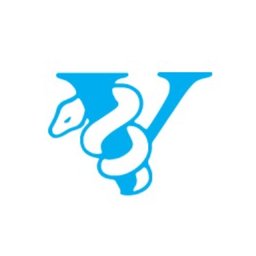 Vitalograph Logo