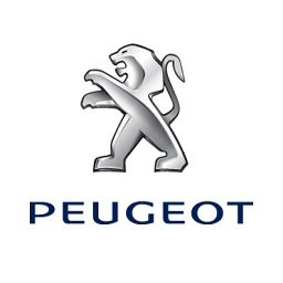 Logo de l'entreprise NOUVEAU GARAGE D'ORSAY - AGENT PEUGEOT
