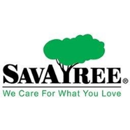 Company logo SavATree