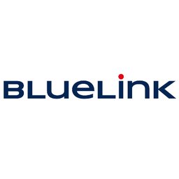 Logo de l'entreprise BlueLink