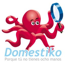 Logotipo de la empresa Domestiko