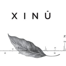 Logotipo de la empresa Xinú Perfumes