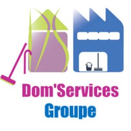 Logo de l'entreprise Dom'Services Groupe