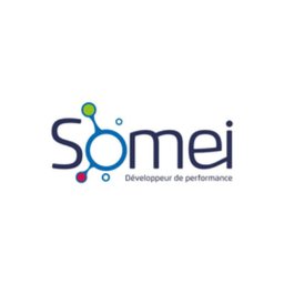 Company logo SOMEI