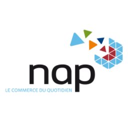 Logo de l'entreprise GROUPE NAP