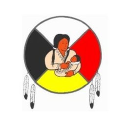 Company logo ANISHINAABE ABINOOJII FAMILY SERVICES
