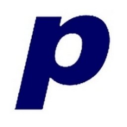 Company logo PAVLIKS.COM