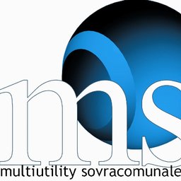 Company logo Msc srl
