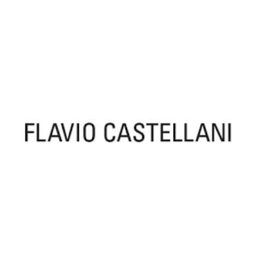 Company logo FLAVIO CASTELLANI