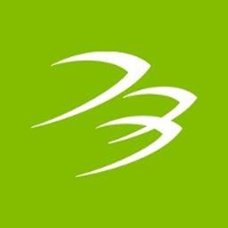 Company logo Blackhawk Network