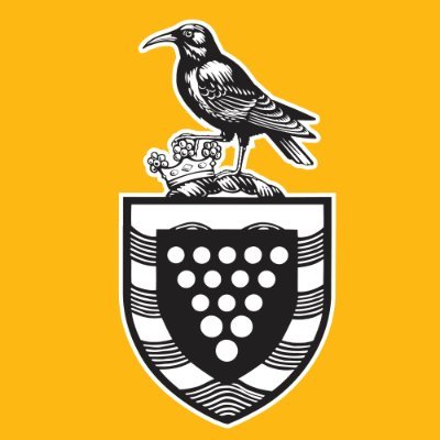 Company logo Cornwall Council