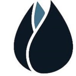Company logo A2Dominion Group
