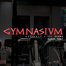 Company logo Gymnasium Wellness & SPA Clubs