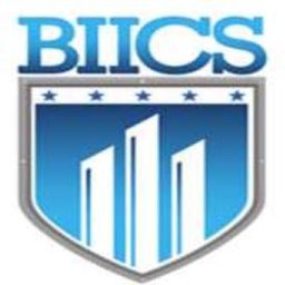 Company logo Business Intelligence & Informatics Consulting Services, Inc (BIICS, Inc)