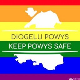 Company logo Powys Teaching Health Board