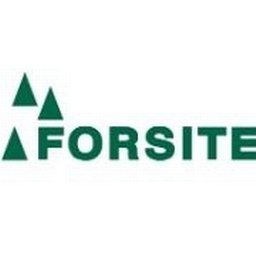 Company logo FORSITE CONSULTANTS LTD