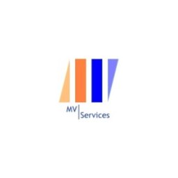 Logo de l'entreprise MV SERVICES