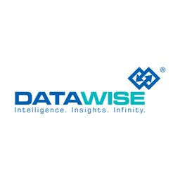 कंपनी का लोगो Datawise Management Services India Private Limited