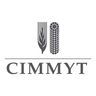 Logotipo de la empresa CIMMYT