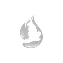 Company logo Absolute Heating
