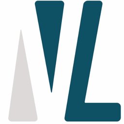 Company logo Group Van Laecke