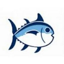 Company logo Southern Tide