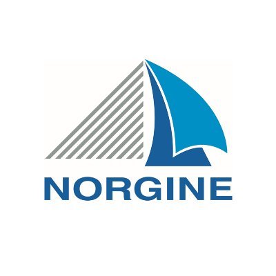 Company logo Norgine