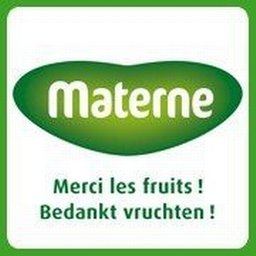 Company logo MATERNE