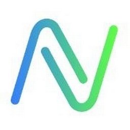 NextVision Logo