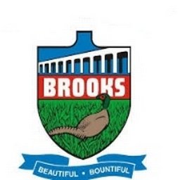 Company logo City of Brooks
