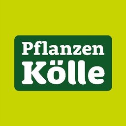 Firmenlogo Pflanzen-Kölle Gartencenter