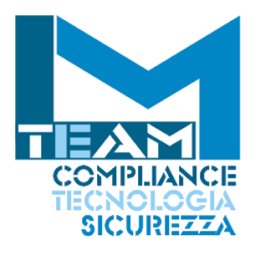 Company logo LM Team
