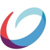 Logo de l'entreprise NSI Luxembourg PSF
