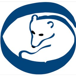 Company logo orso blu
