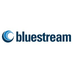 Company logo Bluestreamoffshore B.V.